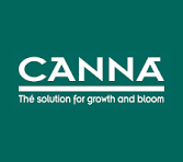 Canna