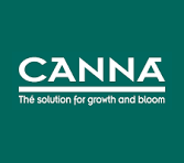 Canna