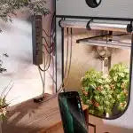 Spider Farmer GGS AC5 Smart Power Strip Kit