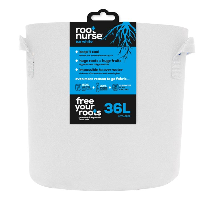 Root Nurse Ice Pot 36L