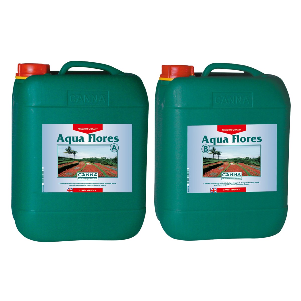 Canna Aqua Flores A & B