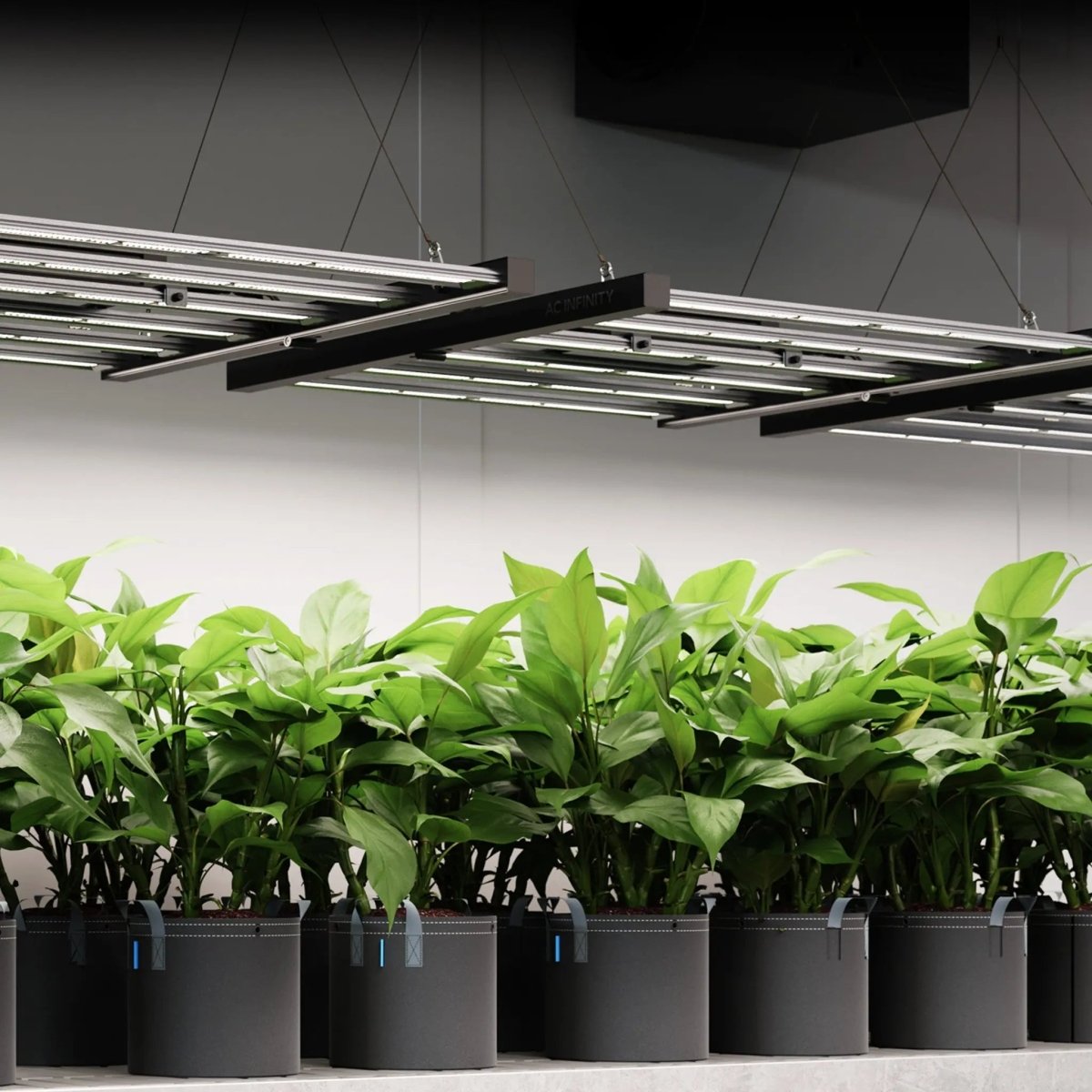 AC Infinity IONFRAME EVO10 Commercial Bar-Style LED Grow Light 1000W