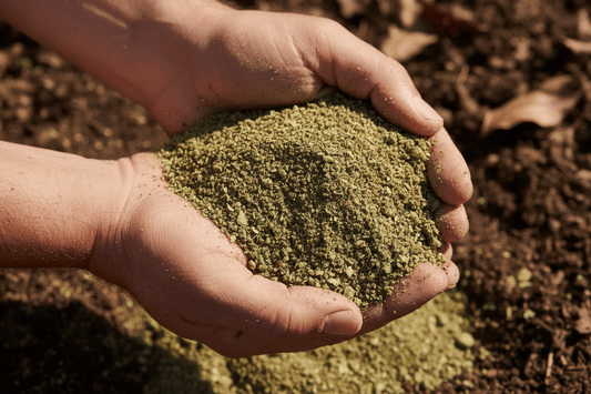 Hands holding alfalfa meal