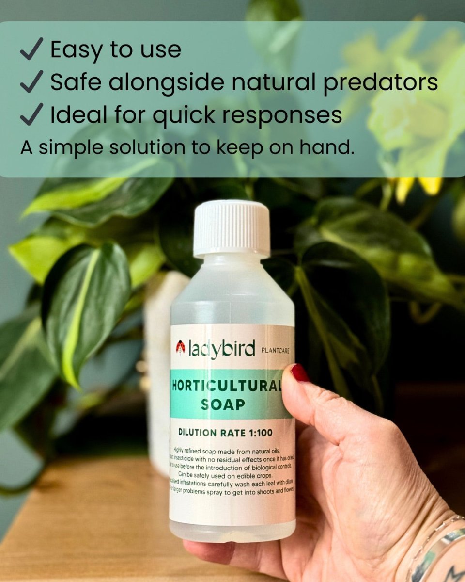 Horticultural Soap