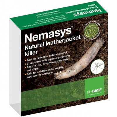 Leatherjacket Nematodes
