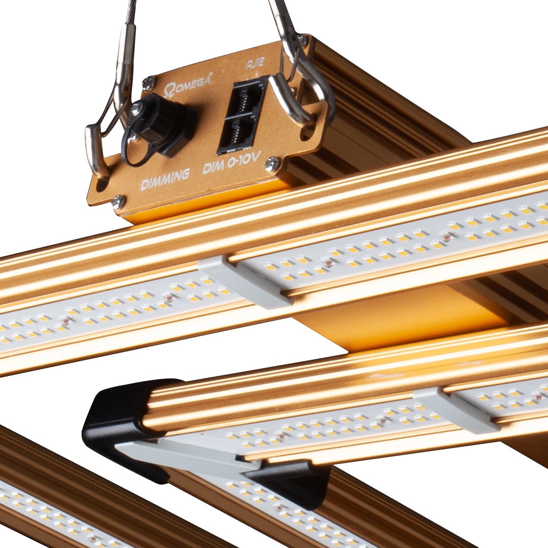 Omega Infinity 200/300w Pro LED