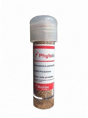 Red Spider Mite Killer (Phytoseiulus Persimilis)