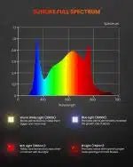Spider Farmer SF300 & SF600 Full-Spectrum LED Grow Lights