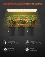 Spider Farmer SF300 & SF600 Full-Spectrum LED Grow Lights