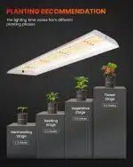 Spider Farmer SF300 & SF600 Full-Spectrum LED Grow Lights