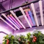 Spider Farmer UV & IR LED Supplement Light Bars