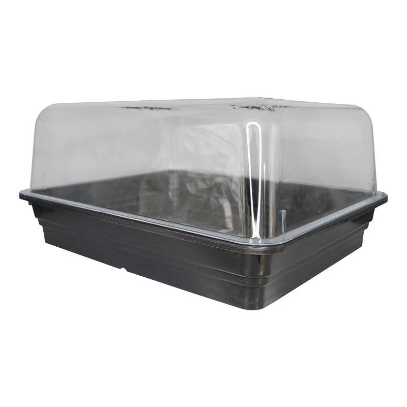 Stewart Propagator
